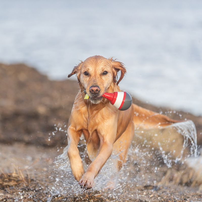 Trixie Water Toy Snack Buoy 9 x 19cm (W x H)