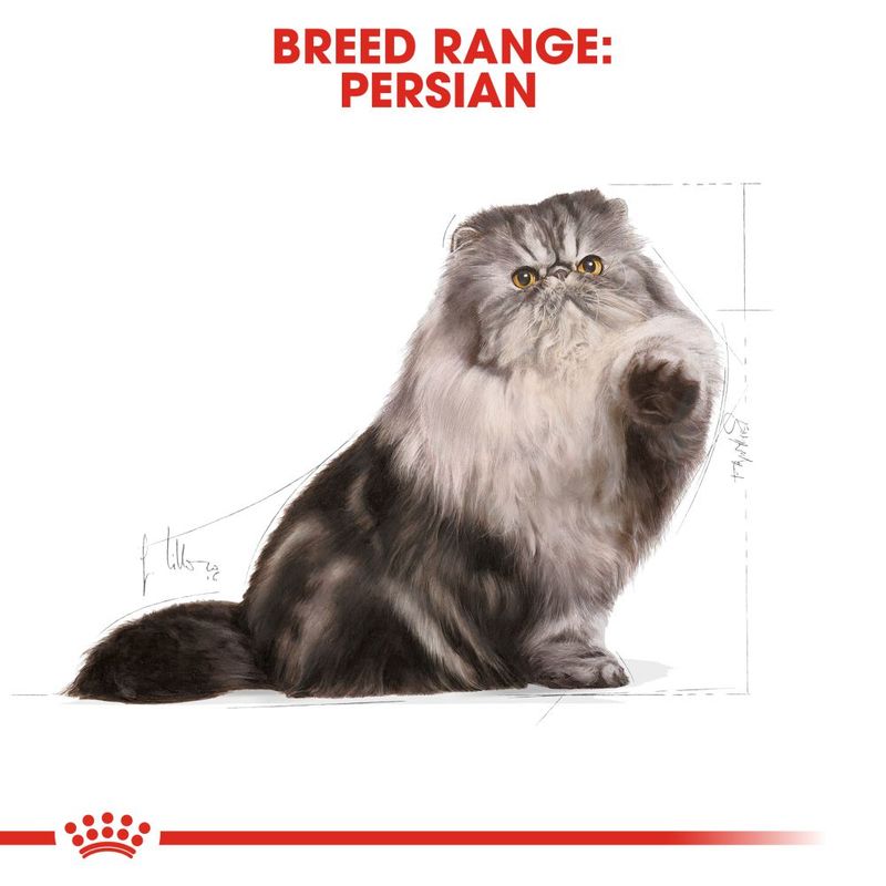 Royal Canin Persian Adult 2kg