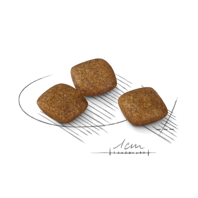 Royal Canin Relax Care Mini 8kg