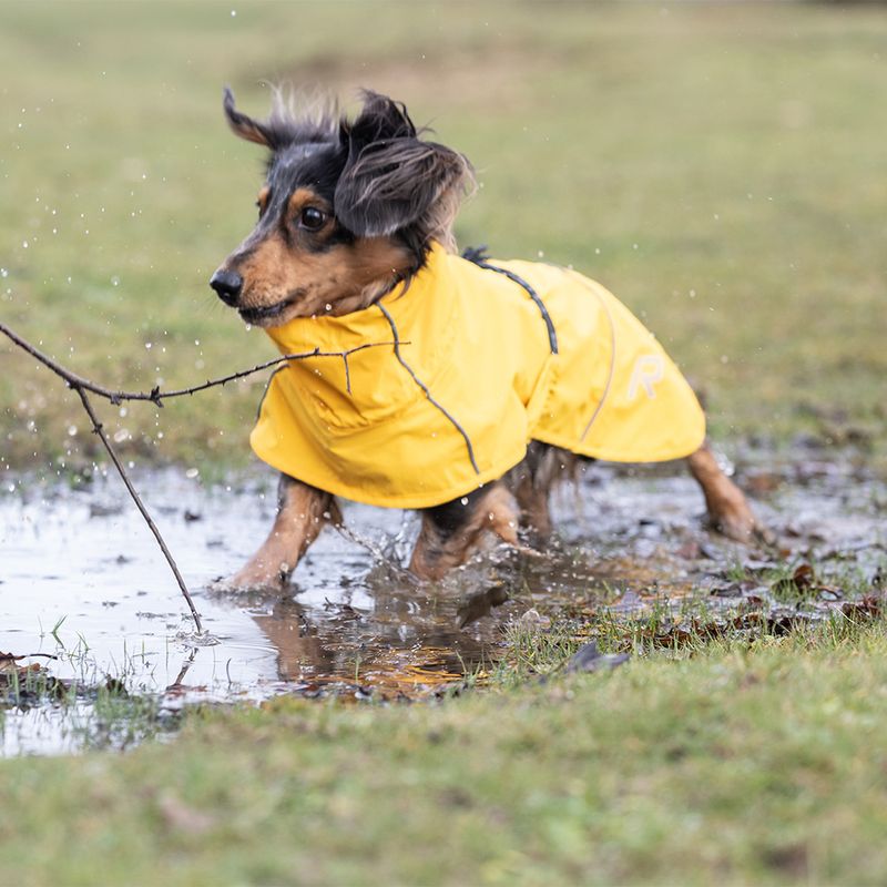 Rukka® Hayton Eco mackintosh, yellow approx. 40 cm back length