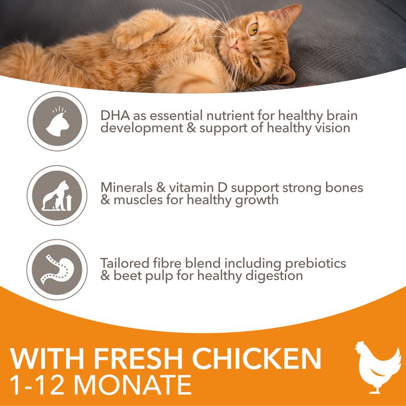 IAMS Advanced Nutrition Kitten with Fresh Chicken 3kg
