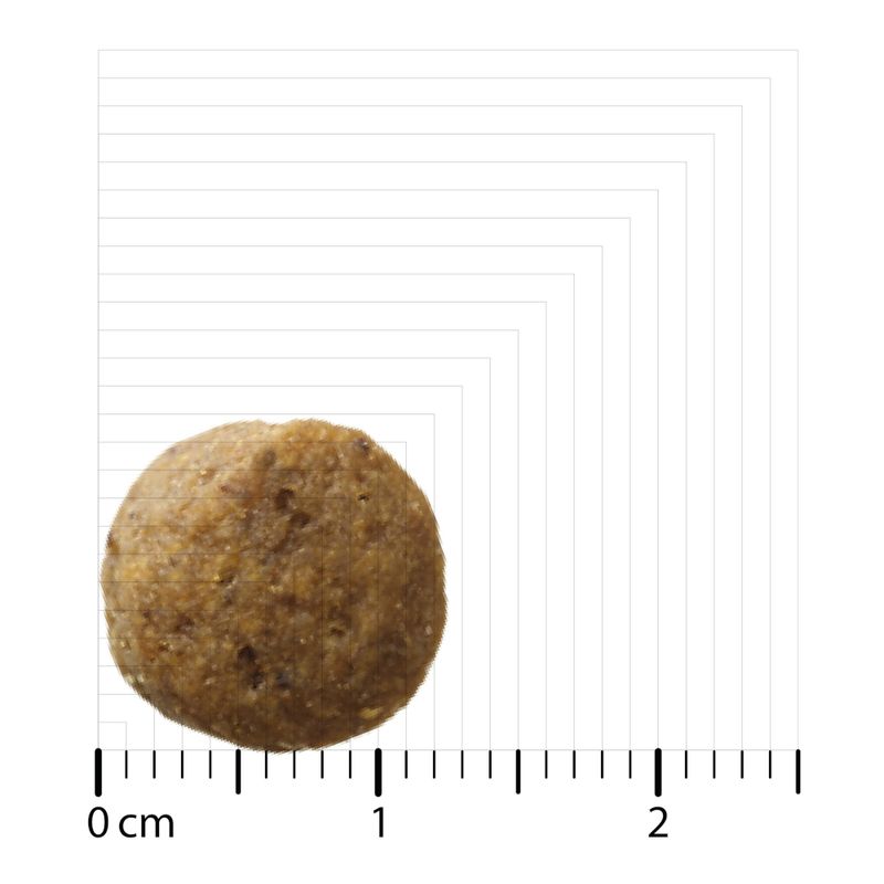 Bozita Original Puppy & Junior XL with Lamb - Wheat-Free 3kg