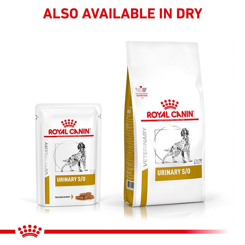 Royal Canin Veterinary Dog - Urinary S/O in Gravy 12 x 100g