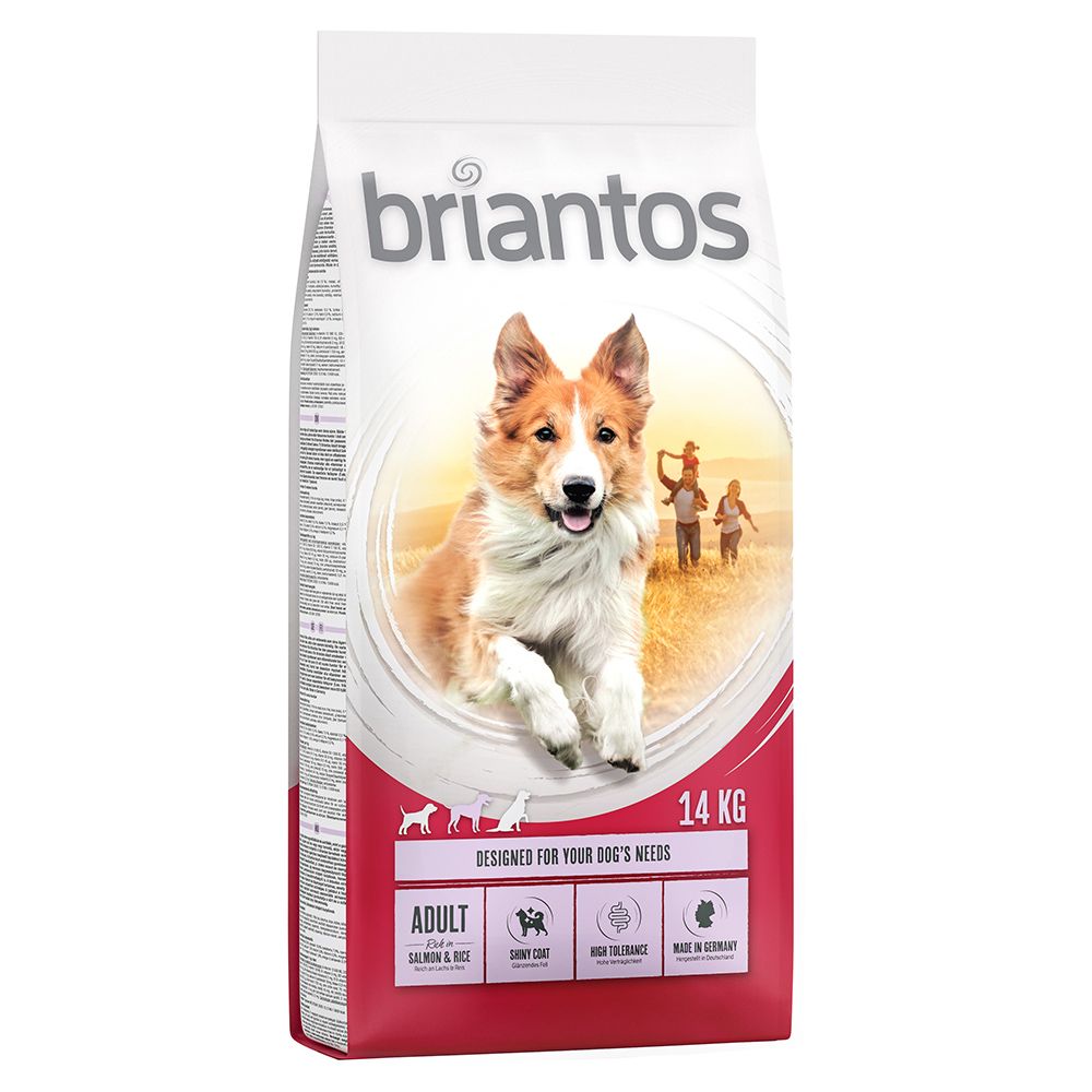Briantos Adult Salmon & Rice 1kg