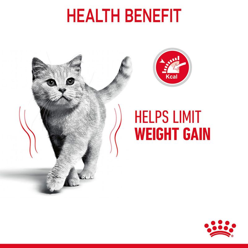 Royal Canin Light Weight Care in Jelly 12 x 85g