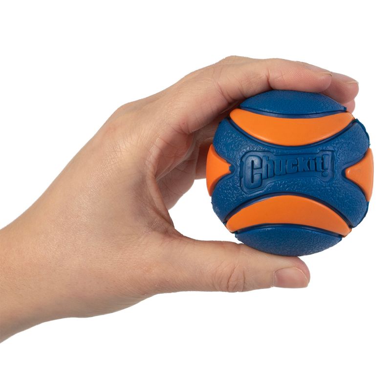 Chuckit! Ultra Squeaker Ball Size M: Diameter 6.4cm