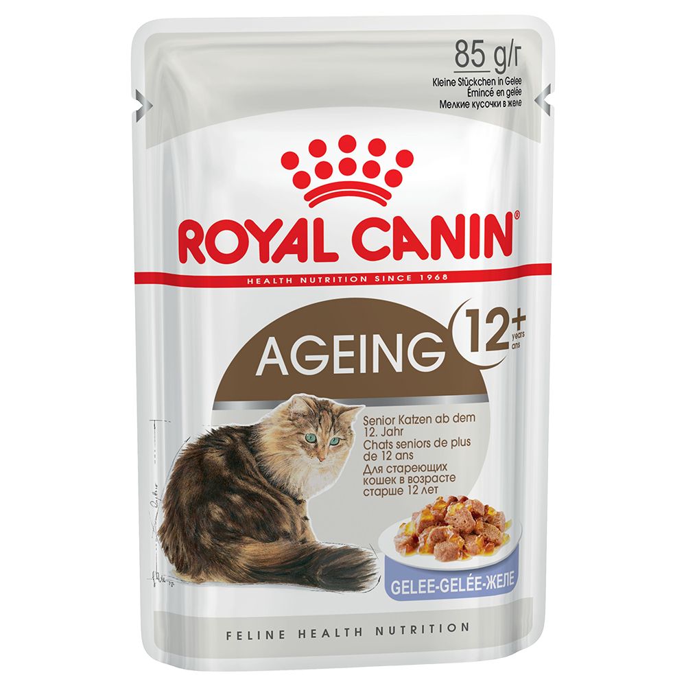 Royal Canin Ageing 12+ in Jelly 12 x 85g