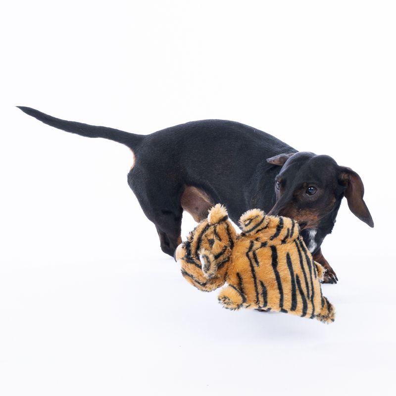 TIAKI Flat Crinkle Tiger Plush Toy 25 x 15 x 7 cm (L x W x H)