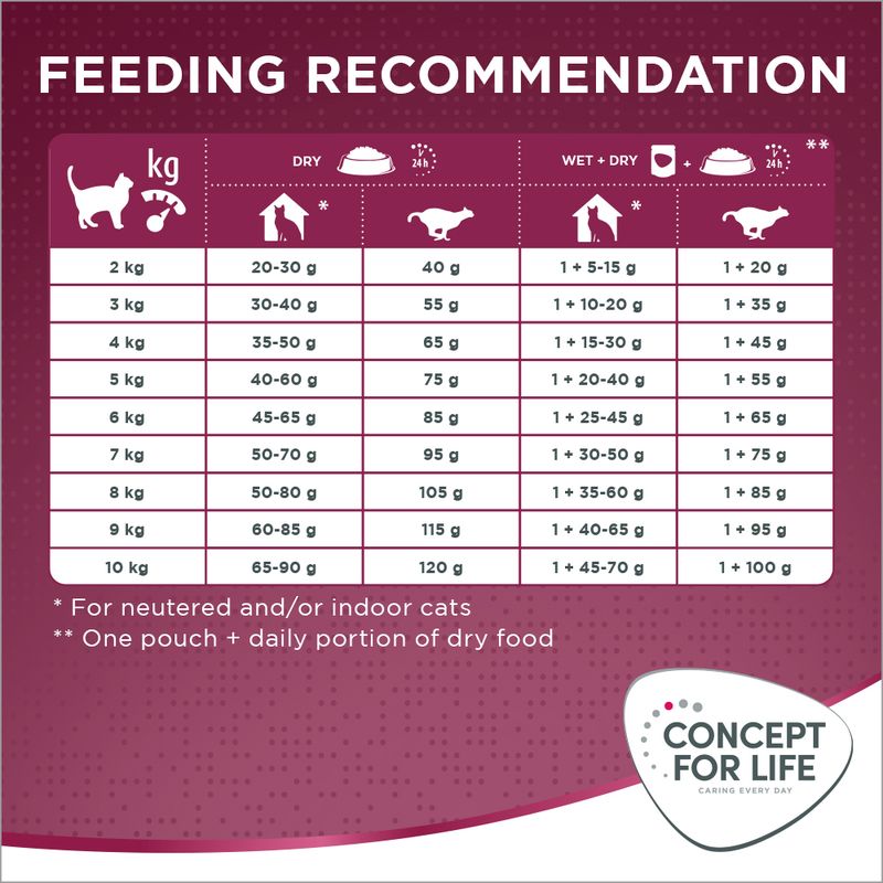 Concept for Life All Cats 10+ 400g