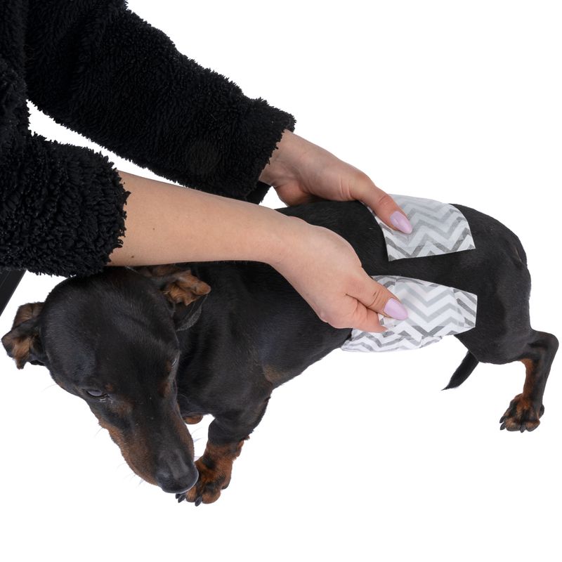 kooa Male Nappies with Charcoal Extra Small (15 Nappies)