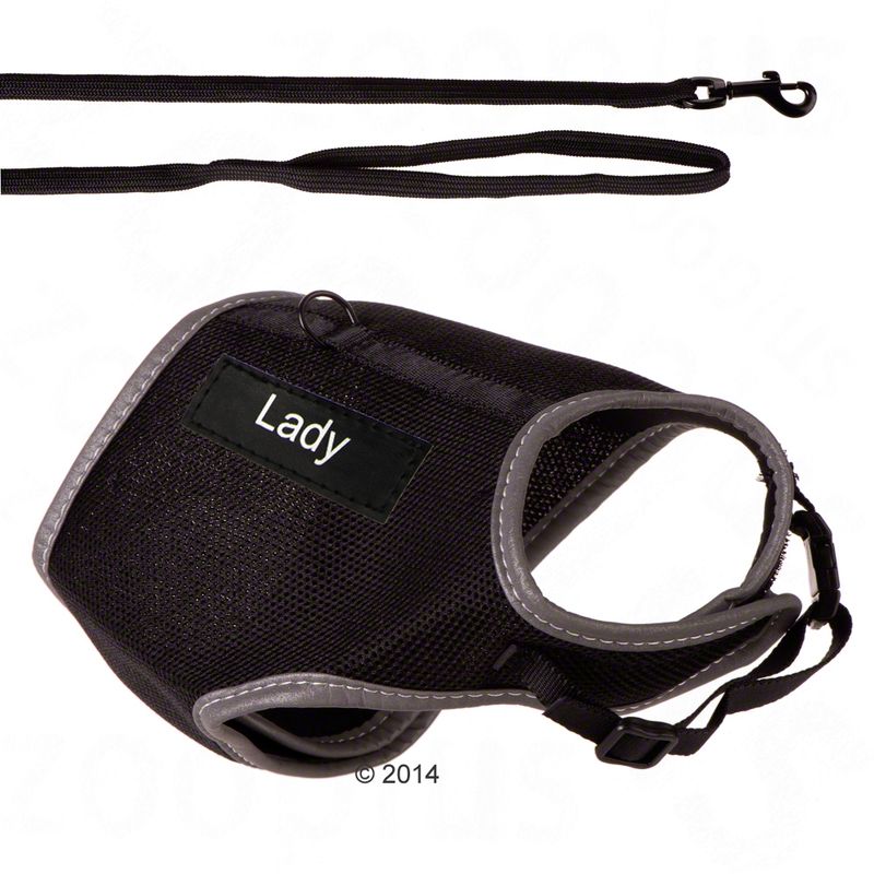 Trixie XCat Harness with Lead and Exclusive Stickers Black