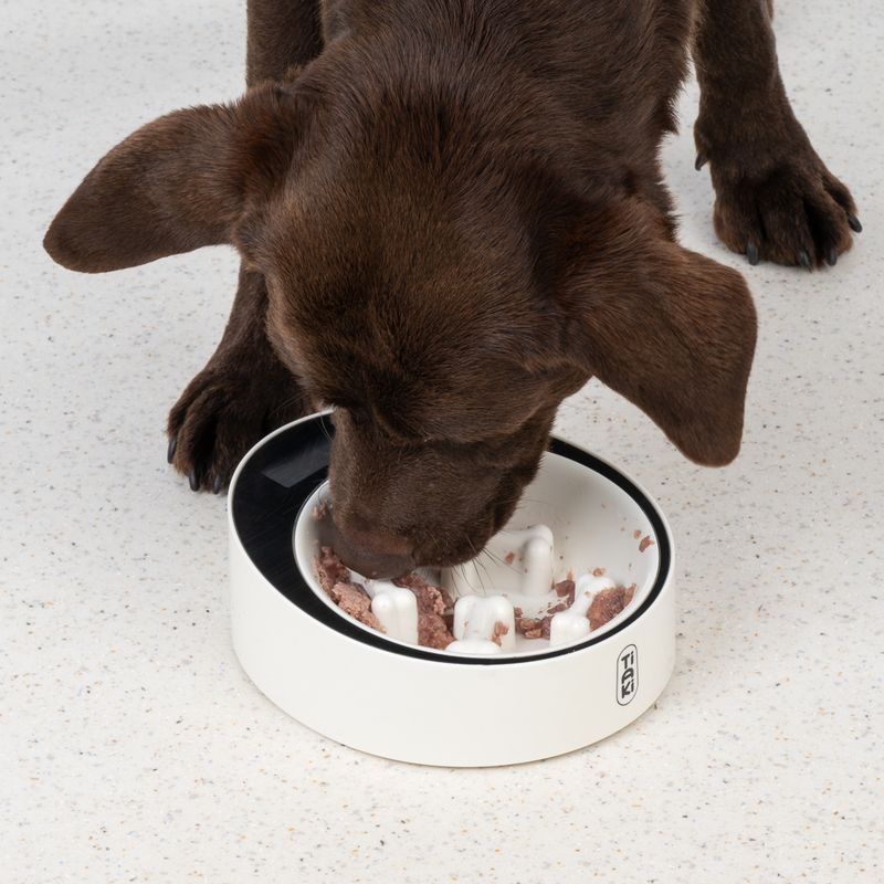 TIAKI Slow Feeder Smart Bowl with Scales 1 Bowl