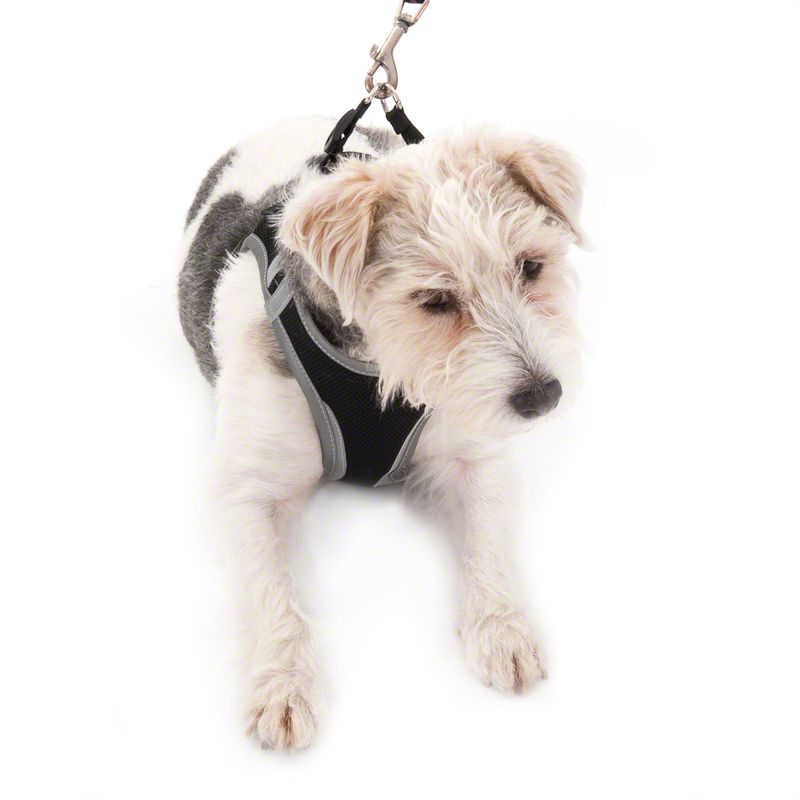 Feel Free Soft Dog Harness XS