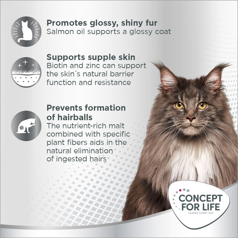 Concept for Life Beauty Paste 75g