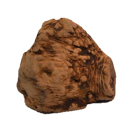 Chewies Root Chews Size L