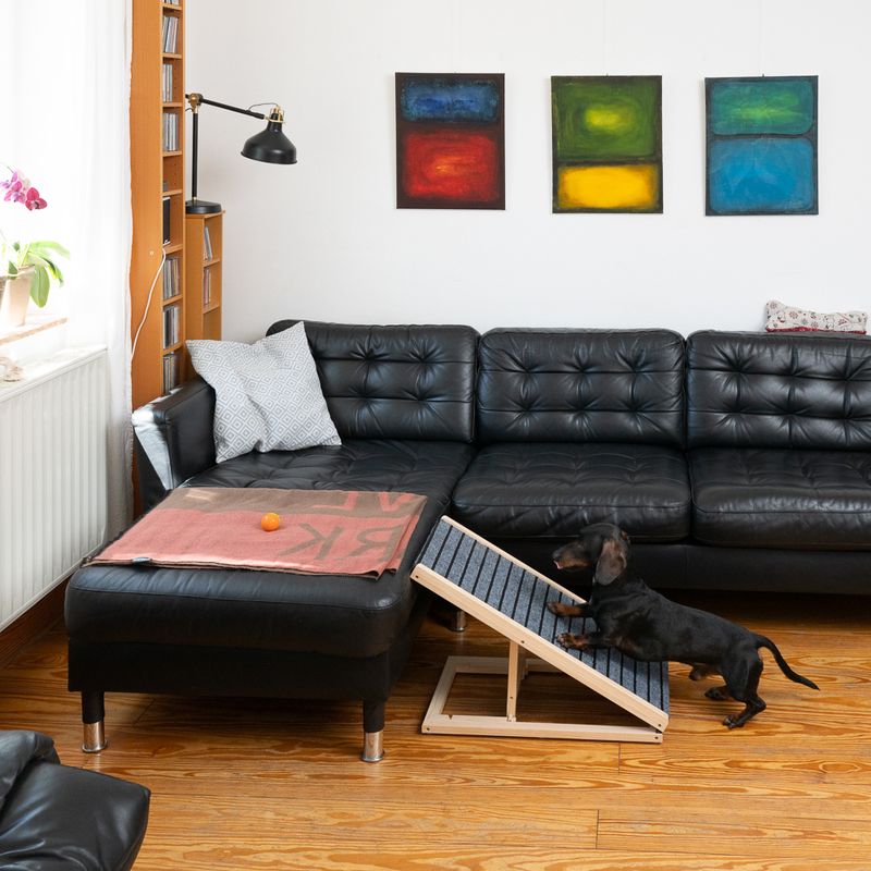 TIAKI Up & Down Pet Ramp approx. 70 x 35 x 30 - 40cm (L x W x H)