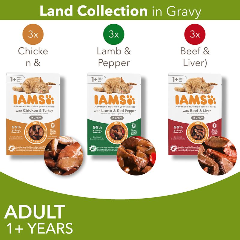 IAMS Advanced Nutrition Adult – Land Collection in Gravy 12 x 85g