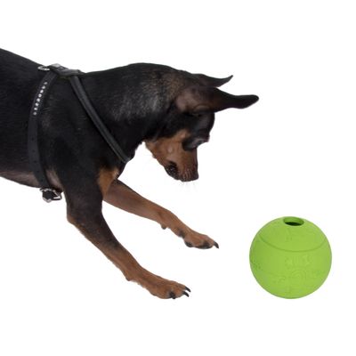 Snack Ball Dog Toy Diameter 10.5cm