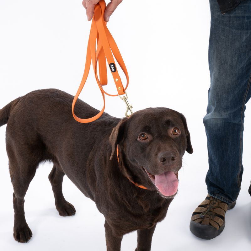TIAKI Water-Repellent PVC Collar - Orange Size S: 24-36cm (Neck Circumference)
