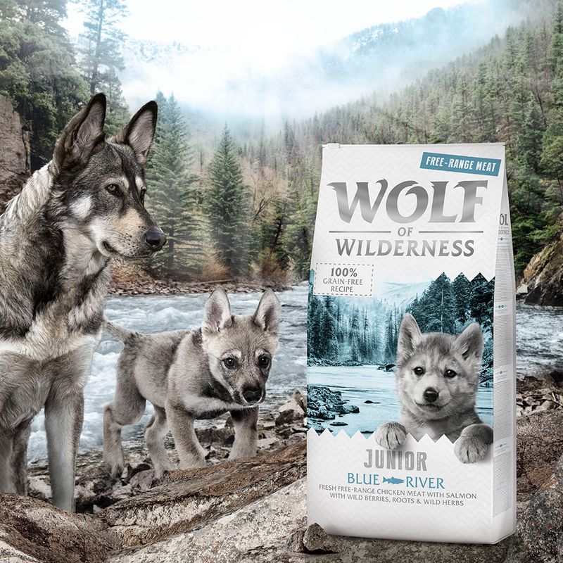 Wolf of Wilderness Grain-Free - Free-Range Economy Pack 2 x 12kg Adult \