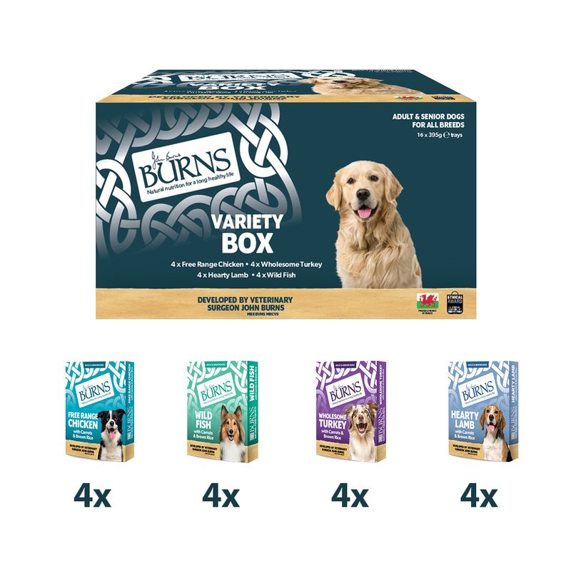 Burns Wet Food for Dogs 16 x 395g Chicken