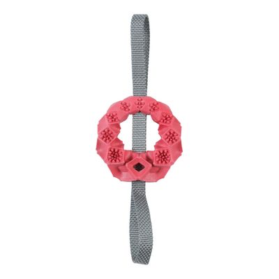 Zolux Outdoor Terra Chew Ring 1 toy