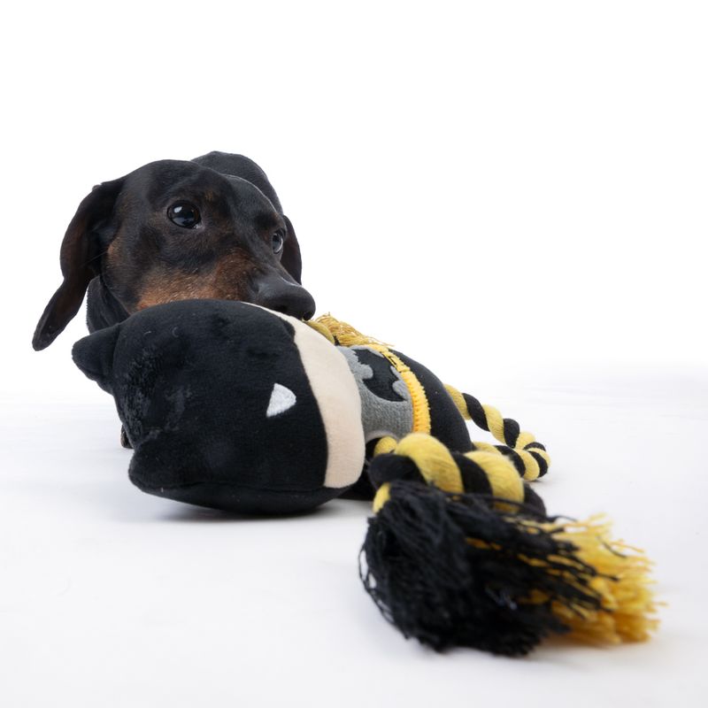 Warner Bros™ DC Batman Rope Dog Toy 25 x 16 cm (L x W)