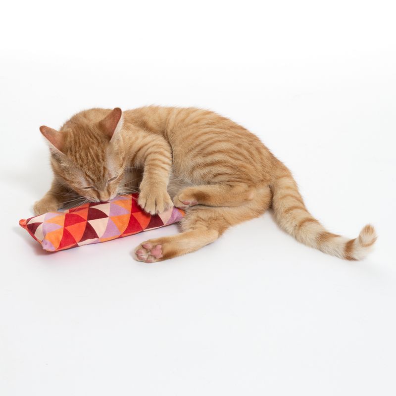 TIAKI Kicker Cushion with Catnip 1 Toy