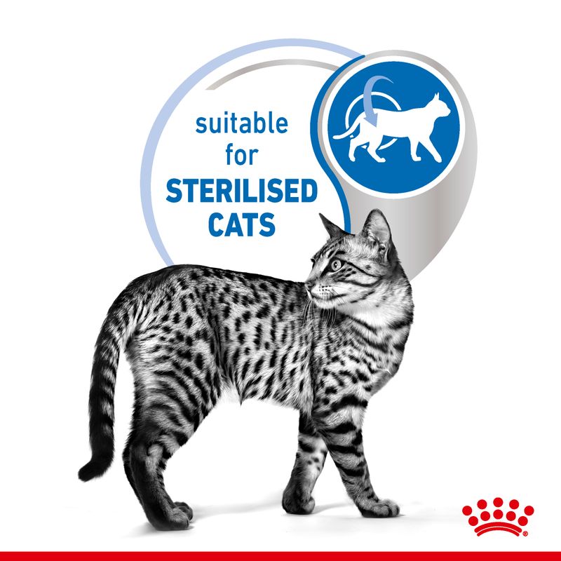 Royal Canin Indoor Sterilised 7+ in Jelly 12 x 85g