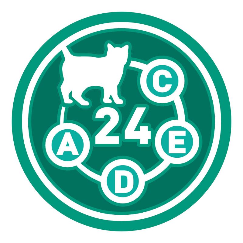 PURINA ONE Senior +11 Chicken 4 x 1,5 kg