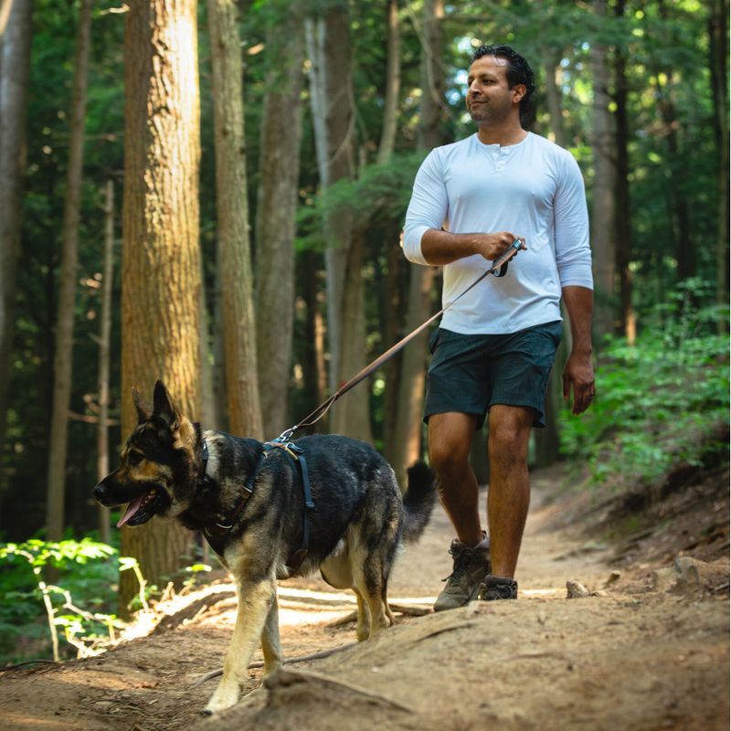 Ruffwear Front Range Dog Harness - Moonlight Mountains Size S: 56 - 69cm Chest Circumference