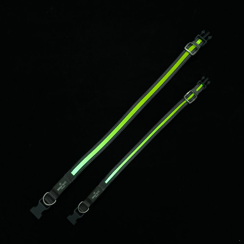 Nomad Tales Spirit USB LED Nylon Collar - Neon Yellow & Grey Size S/M: Neck circumference 35-50cm