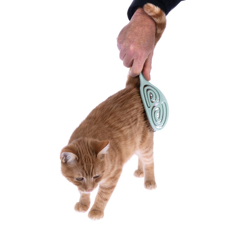 kooa Detangling Brush 24 x 8 x 4.5cm (L x W x H)