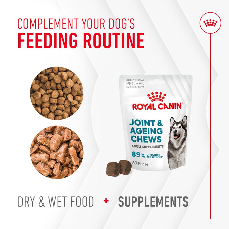 Royal Canin Joint & Ageing Adult Supplement Chews 240g (60 pieces)