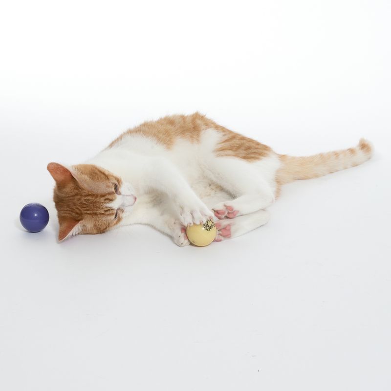 TIAKI LED Balls for Cats Set of 2