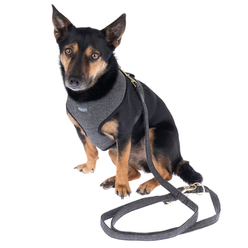 Nomad Tales Calma Harness - Ebony Size XXS: 20 - 30 cm chest circumference