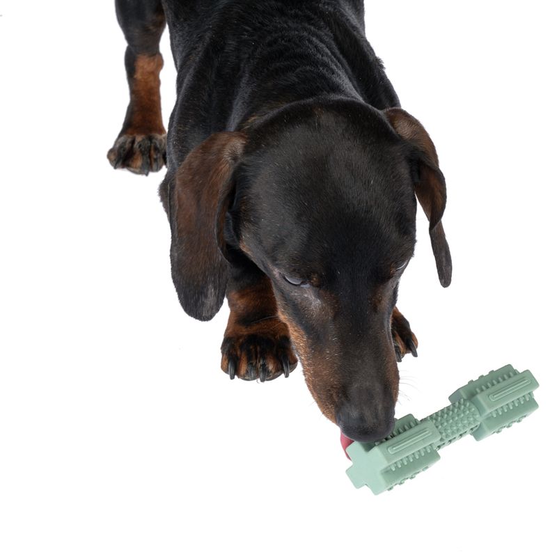 zooplus Basics TPR Stick diameter 3 x (L) 14 cm