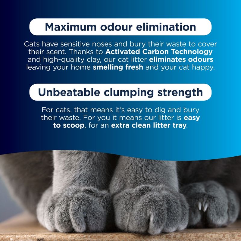 Ever Clean® Senior Cat Clumping Cat Litter - Scented 10l