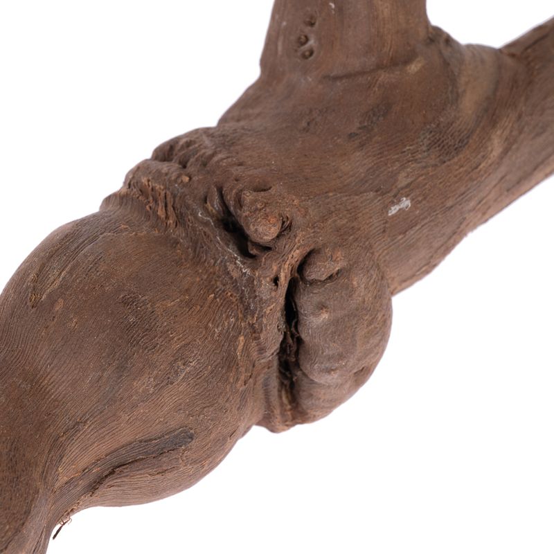 TIAKI Y-Shaped Vine Perch Size M: approx. 2.5 x 25cm (diameter x L)