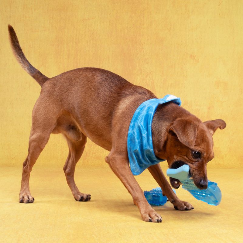 Flamingo Snowy Fish Dog Toy 18 x 8.9 X 3.9cm (L x W x H)