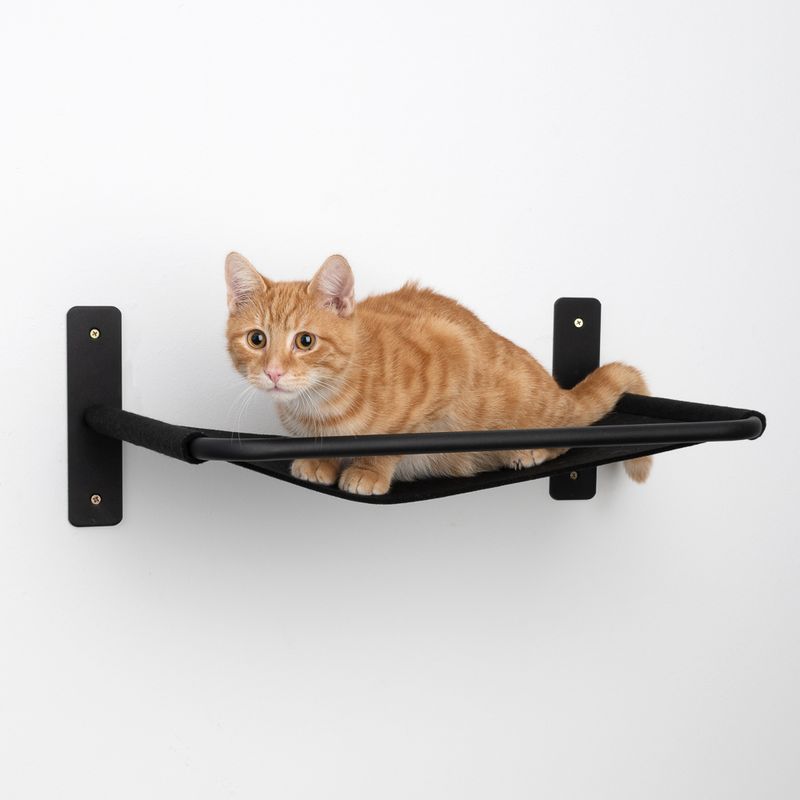 Modern Living Boston Wall Bed Black