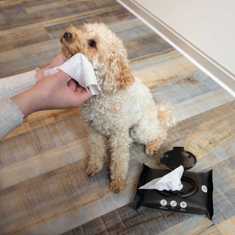 kooa Hygienic Care Wipes Ocean Breeze (50 Wipes)