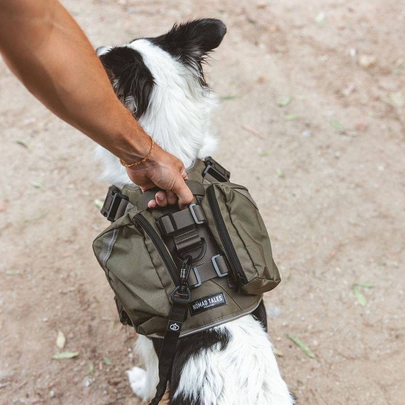Nomad Tales Tactical dog harness M: approx. 76-91 cm chest circumference