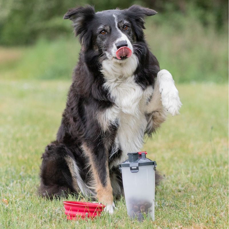 Trixie Food and Water Container 2 x 350ml, 11cm diameter x 23cm (H)