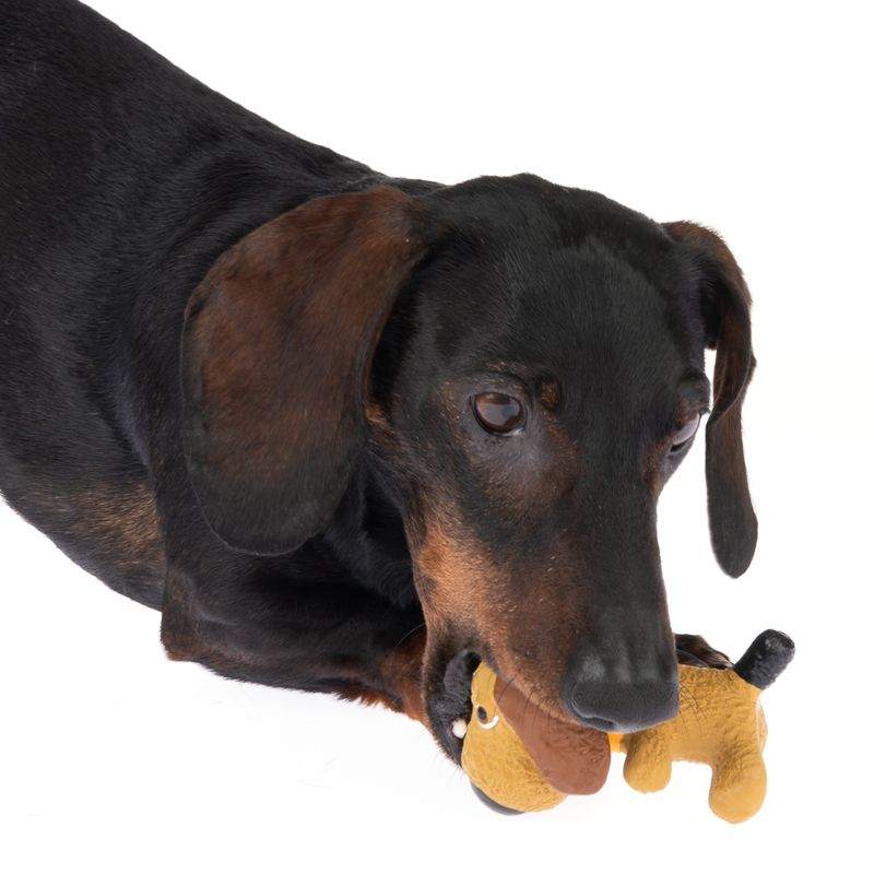 TIAKI Latex Dog Toy 5 x 5 x 8cm (L x W x H)