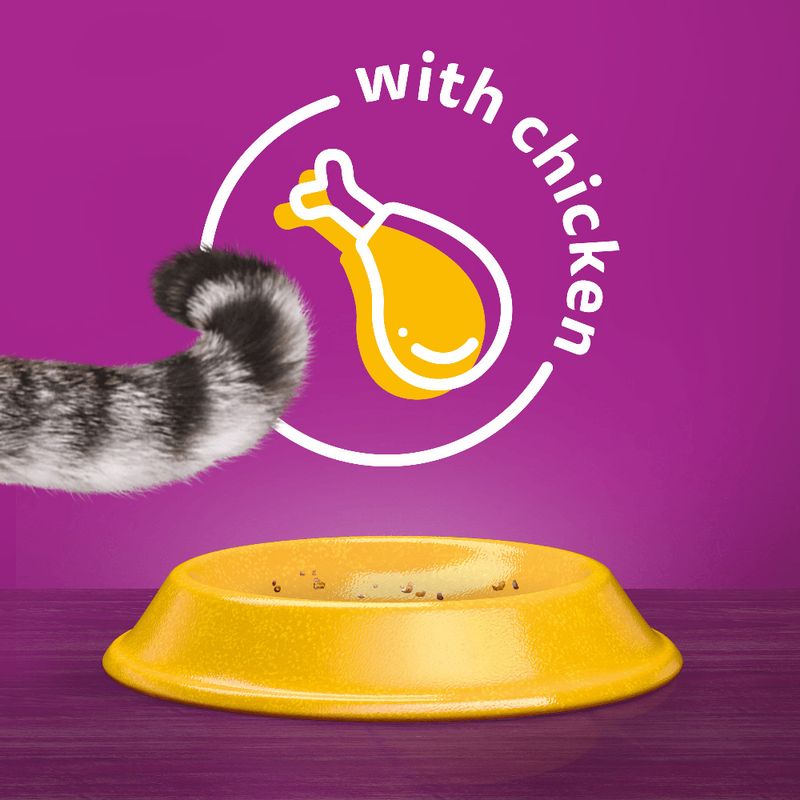 Whiskas 1+ Chicken 3.8kg