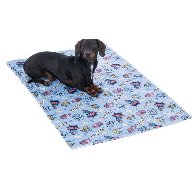 Warner Bros™ Harry Potter Hogwarts Express Pet Blanket 100 x 70 cm (L x W)