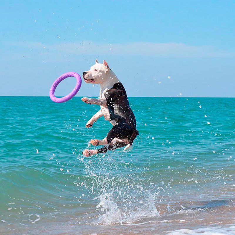 Ferplast Puller Dog Toy Midi: 19cm (Ø)