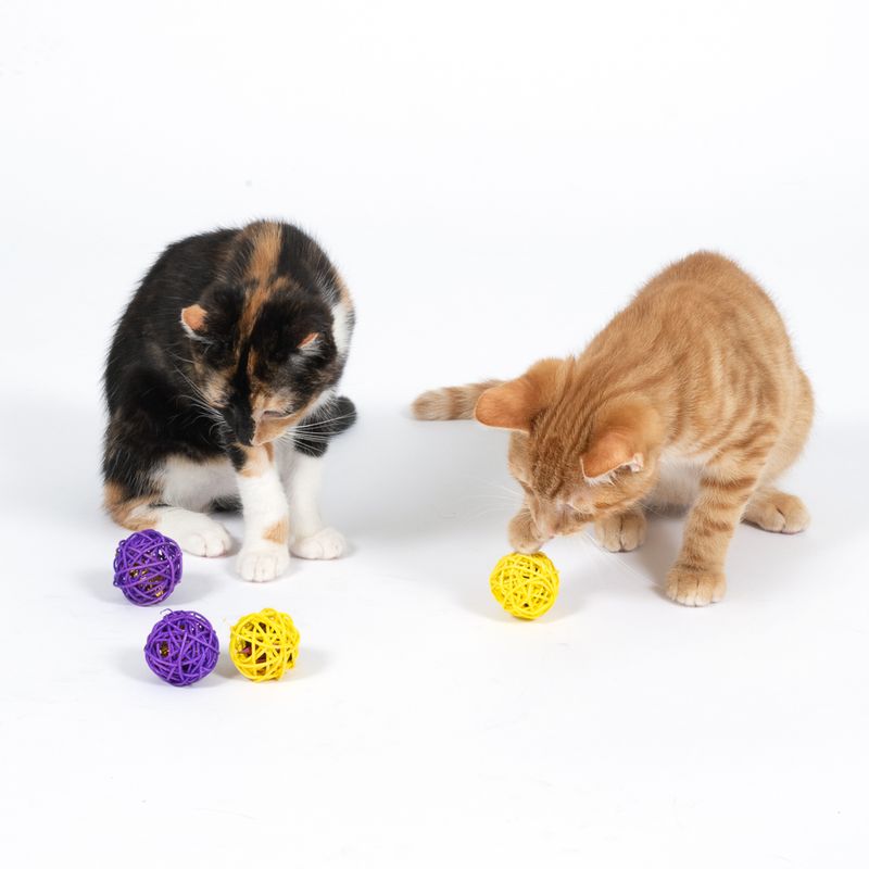 TIAKI Willow Balls Set Set of 4