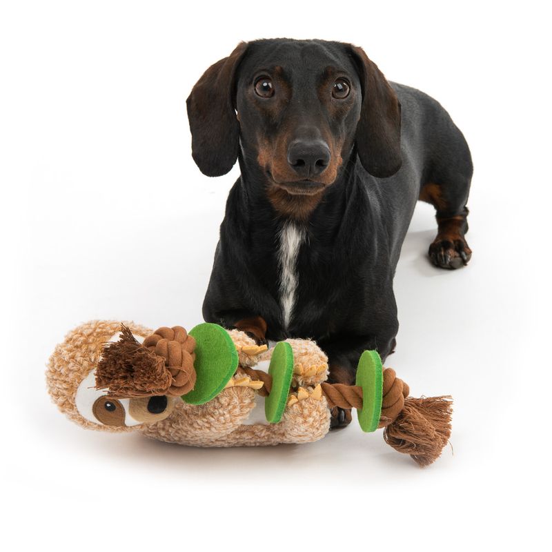 Sloth Dog Toy 1 Toy